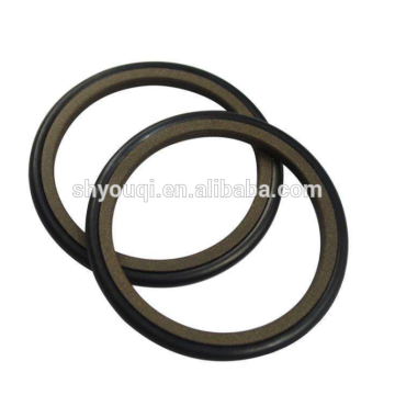 Hot selling Piston Seal Glyd Rings wholesale